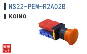 NS22-PEM-R2A02B