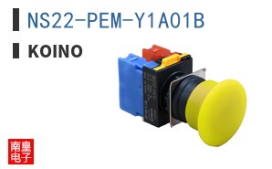 NS22-PEM-Y1A01B
