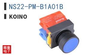 NS22-PM-B1A01B