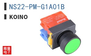 NS22-PM-G1A01B