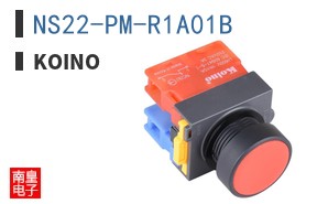 NS22-PM-R1A01B