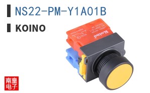 NS22-PM-Y1A01B