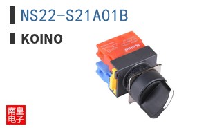 NS22-S21A01B