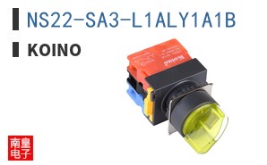 NS22-SA3-L1ALY1A1B