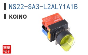 NS22-SA3-L2ALY1A1B