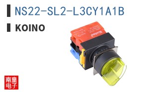 NS22-SL2-L3CY1A1B
