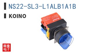 NS22-SL3-L1ALB1A1B