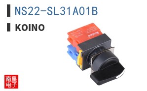 NS22-SL31A01B