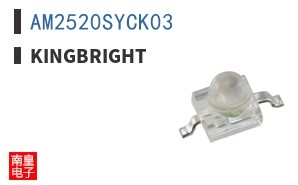 AM2520SYCK03