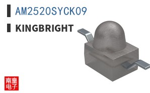 AM2520SYCK09