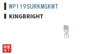 WP119SURKMGKWT