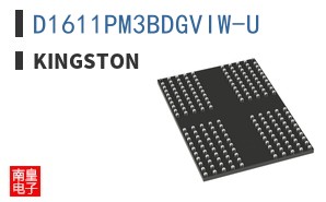 D1611PM3BDGVIW-U