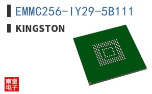 EMMC256-IY29-5B111