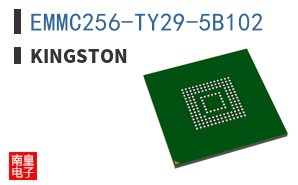 EMMC256-TY29-5B102