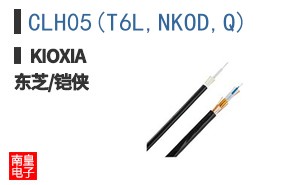 CLH05(T6L,NKOD,Q)