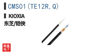 CMS01(TE12R,Q)
