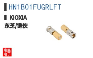 HN1B01FUGRLFT