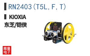 RN2403(T5L,F,T)