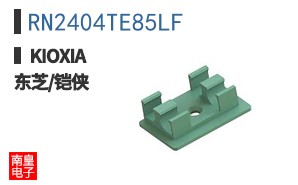 RN2404TE85LF