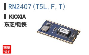 RN2407(T5L,F,T)