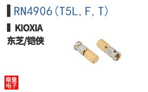 RN4906(T5L,F,T)
