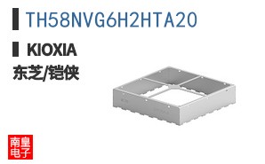 TH58NVG6H2HTA20