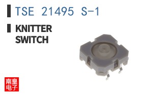TSE 21495 S-1
