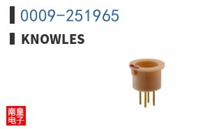 0009-251965
