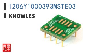 1206Y1000393MSTE03