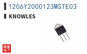 1206Y2000123MSTE03