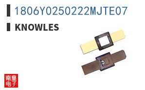 1806Y0250222MJTE07