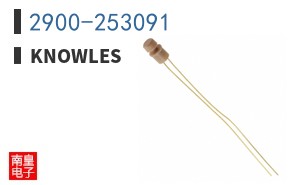 2900-253091