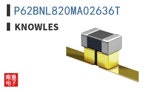 P62BNL820MA02636T