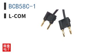 BCB58C-1