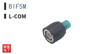 BIF5M