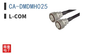 CA-DMDMH025