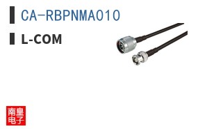 CA-RBPNMA010