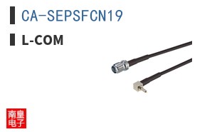 CA-SEPSFCN19