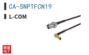 CA-SNPTFCN19
