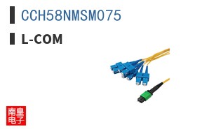 CCH58NMSM075