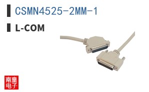 CSMN4525-2MM-1