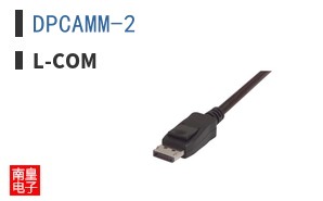 DPCAMM-2