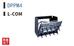 DPPM4