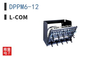 DPPM6-12