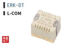 ERK-DT