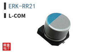 ERK-RR21