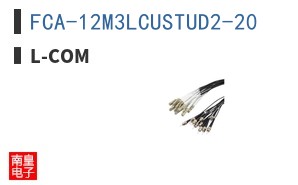 FCA-12M3LCUSTUD2-20