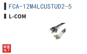 FCA-12M4LCUSTUD2-5