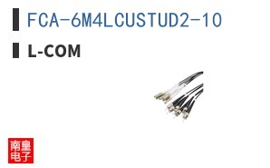 FCA-6M4LCUSTUD2-10