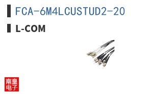 FCA-6M4LCUSTUD2-20